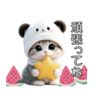 パンダ帽が可愛い猫 キュートな夏（個別スタンプ：23）