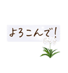文字大きめ＊ひとこと挨拶スタンプ（個別スタンプ：14）