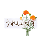 文字大きめ＊ひとこと挨拶スタンプ（個別スタンプ：16）
