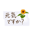 文字大きめ＊ひとこと挨拶スタンプ（個別スタンプ：29）