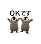 動く！赤ちゃんペンギンズ（個別スタンプ：1）