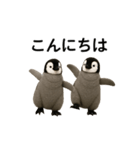 動く！赤ちゃんペンギンズ（個別スタンプ：7）
