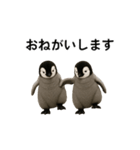 動く！赤ちゃんペンギンズ（個別スタンプ：8）