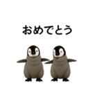 動く！赤ちゃんペンギンズ（個別スタンプ：9）