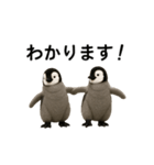 動く！赤ちゃんペンギンズ（個別スタンプ：11）