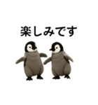 動く！赤ちゃんペンギンズ（個別スタンプ：12）