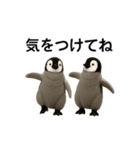 動く！赤ちゃんペンギンズ（個別スタンプ：16）