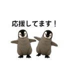 動く！赤ちゃんペンギンズ（個別スタンプ：19）