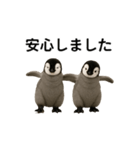 動く！赤ちゃんペンギンズ（個別スタンプ：20）