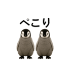 動く！赤ちゃんペンギンズ（個別スタンプ：22）
