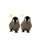 動く！赤ちゃんペンギンズ（個別スタンプ：23）