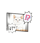 わりと、丁寧な言葉 動く猫（個別スタンプ：2）