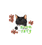 わりと、丁寧な言葉 動く猫（個別スタンプ：5）