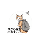 わりと、丁寧な言葉 動く猫（個別スタンプ：9）