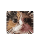 三毛猫ルーシー（個別スタンプ：1）