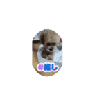 パンチしか勝たん（個別スタンプ：1）