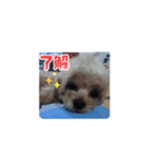 パンチしか勝たん（個別スタンプ：2）
