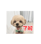 パンチしか勝たん（個別スタンプ：3）