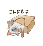 Love トンキニーズ3（個別スタンプ：2）