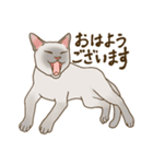 Love トンキニーズ3（個別スタンプ：7）