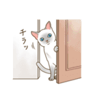 Love トンキニーズ3（個別スタンプ：15）