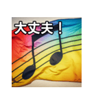 MELODY FLAGスタンプ（個別スタンプ：15）