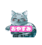 氷ネコ1（個別スタンプ：5）