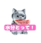 氷ネコ1（個別スタンプ：8）