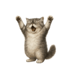 やたら人間っぽい猫たち（個別スタンプ：1）