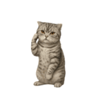 やたら人間っぽい猫たち（個別スタンプ：8）