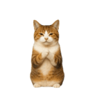 やたら人間っぽい猫たち（個別スタンプ：9）