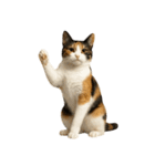 やたら人間っぽい猫たち（個別スタンプ：12）