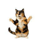 やたら人間っぽい猫たち（個別スタンプ：17）