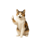 やたら人間っぽい猫たち（個別スタンプ：22）