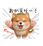 カメ柴3D ver1.0（個別スタンプ：11）