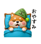 カメ柴3D ver1.0（個別スタンプ：15）