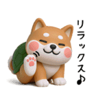 カメ柴3D ver1.0（個別スタンプ：24）