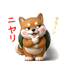 カメ柴3D ver1.0（個別スタンプ：25）