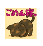 サビ猫しーちゃん（個別スタンプ：2）