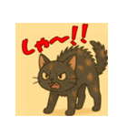 サビ猫しーちゃん（個別スタンプ：5）