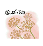 使える花とことばⅡ（個別スタンプ：10）