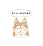 ハスキーさんのスタンプ（個別スタンプ：2）