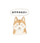 ハスキーさんのスタンプ（個別スタンプ：4）