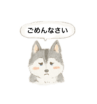 ハスキーさんのスタンプ（個別スタンプ：7）