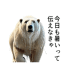 【夏エッホ伝えなきゃ】ダークマ（個別スタンプ：17）