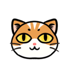 うちのニャンコたち(2)（個別スタンプ：1）