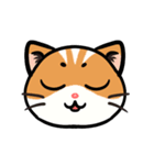 うちのニャンコたち(2)（個別スタンプ：8）