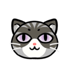 うちのニャンコたち(2)（個別スタンプ：9）