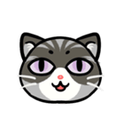 うちのニャンコたち(2)（個別スタンプ：10）