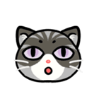 うちのニャンコたち(2)（個別スタンプ：11）